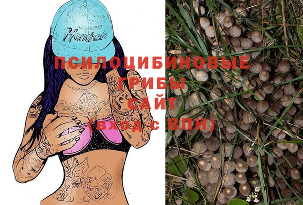 скорость Нязепетровск