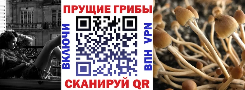 Галлюциногенные грибы мицелий  Купить  Усть-Катав 